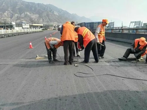 思礼镇道路桥梁病害治理